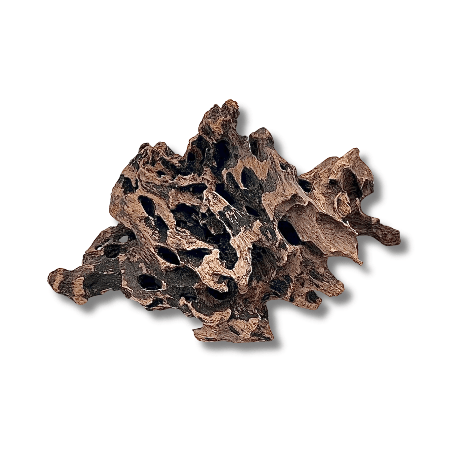 Dragon Driftwood - The Aquascape Shop