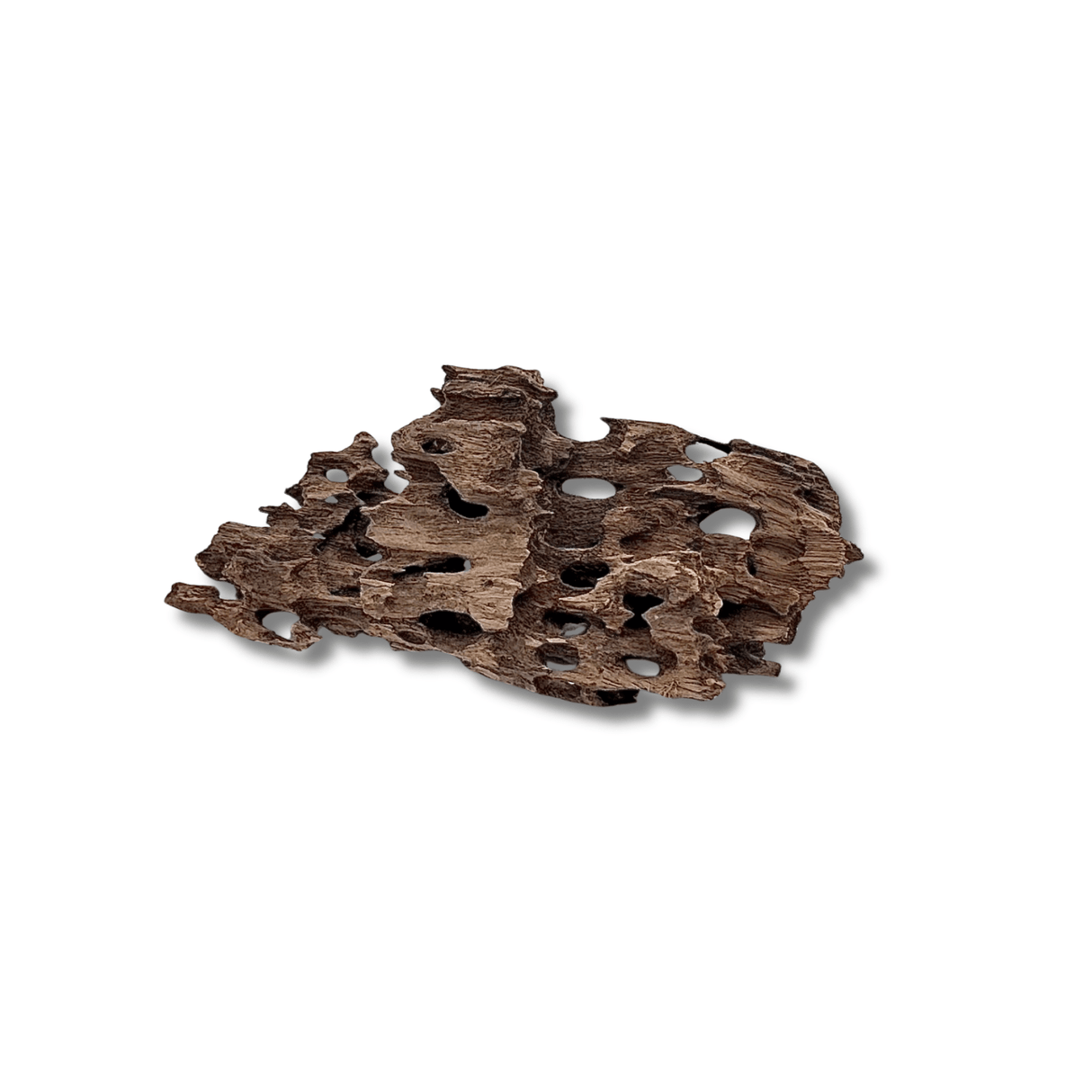 Dragon Driftwood - The Aquascape Shop