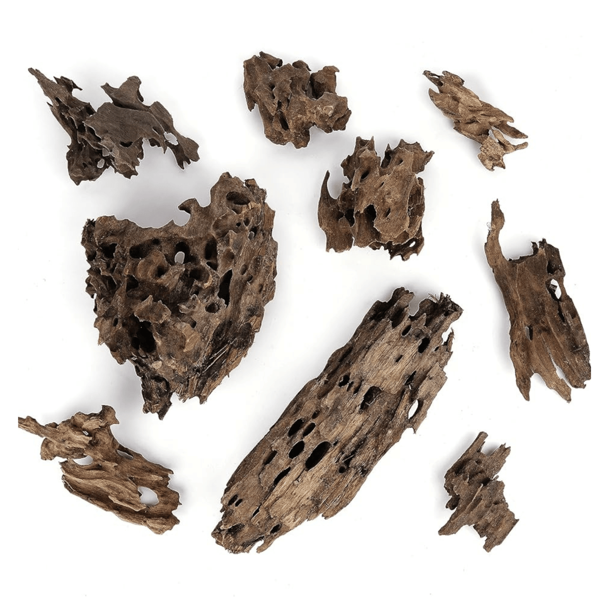 Dragon Driftwood - The Aquascape Shop