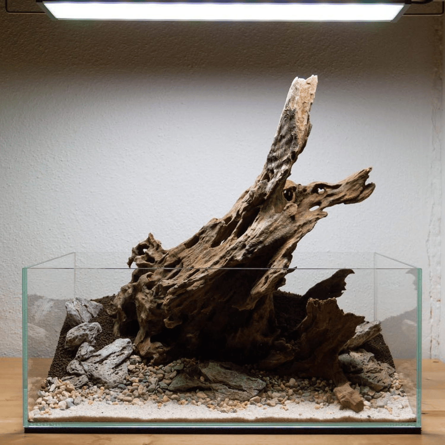 Dragon Driftwood - The Aquascape Shop