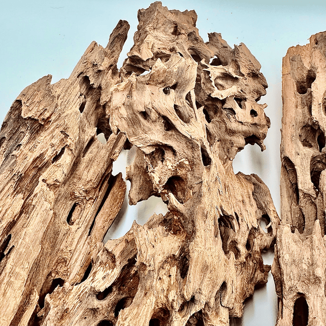 Dragon Driftwood - The Aquascape Shop