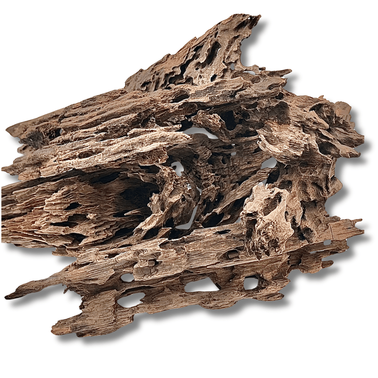 Dragon Driftwood - The Aquascape Shop