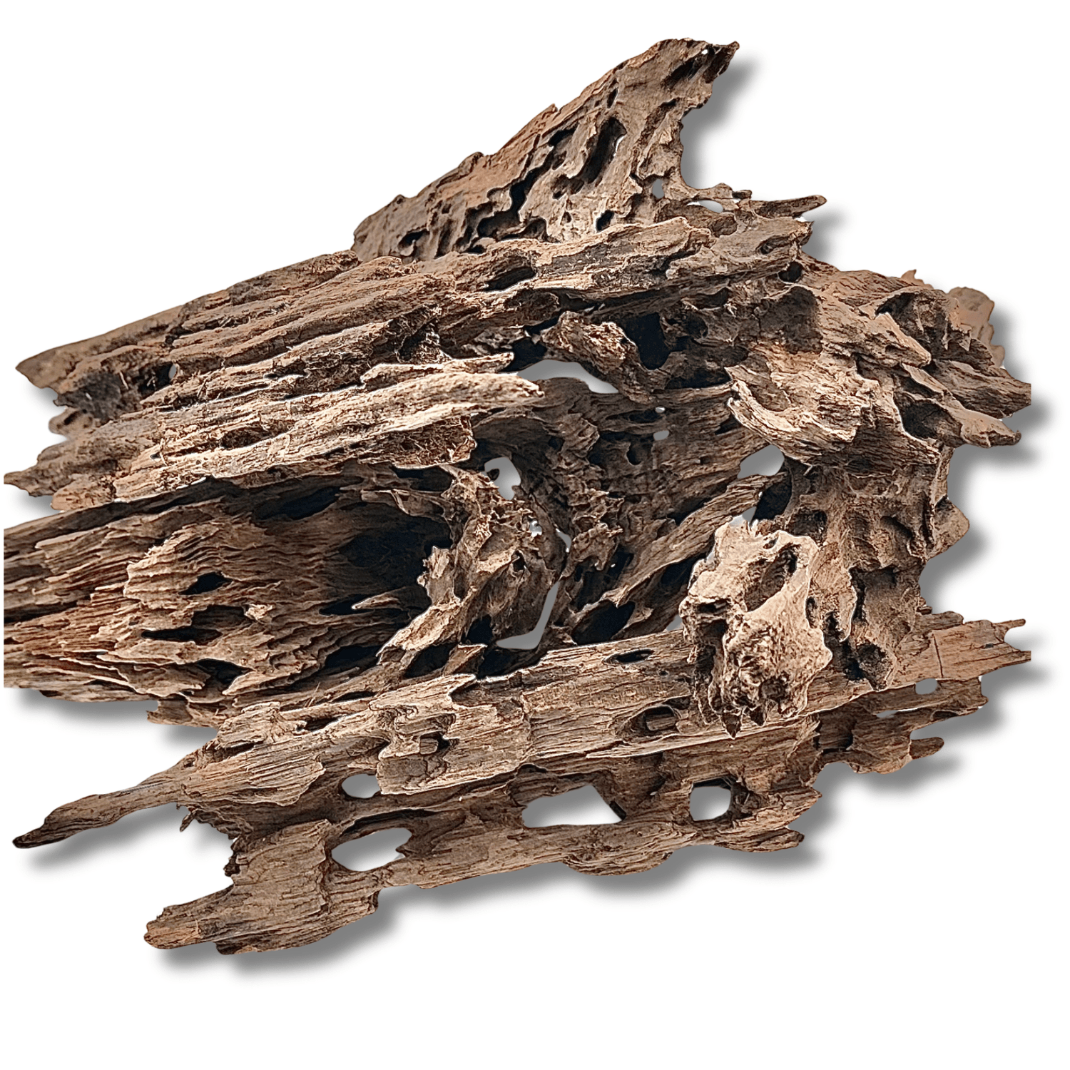 Dragon Driftwood - The Aquascape Shop