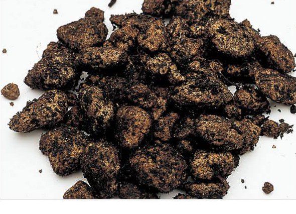 Dr.Tank Power Sand - The Aquascape Shop