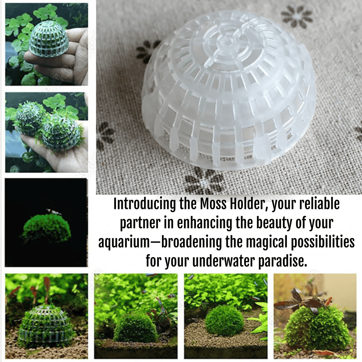 Floating Moss Ball Holder - The Aquascape Shop