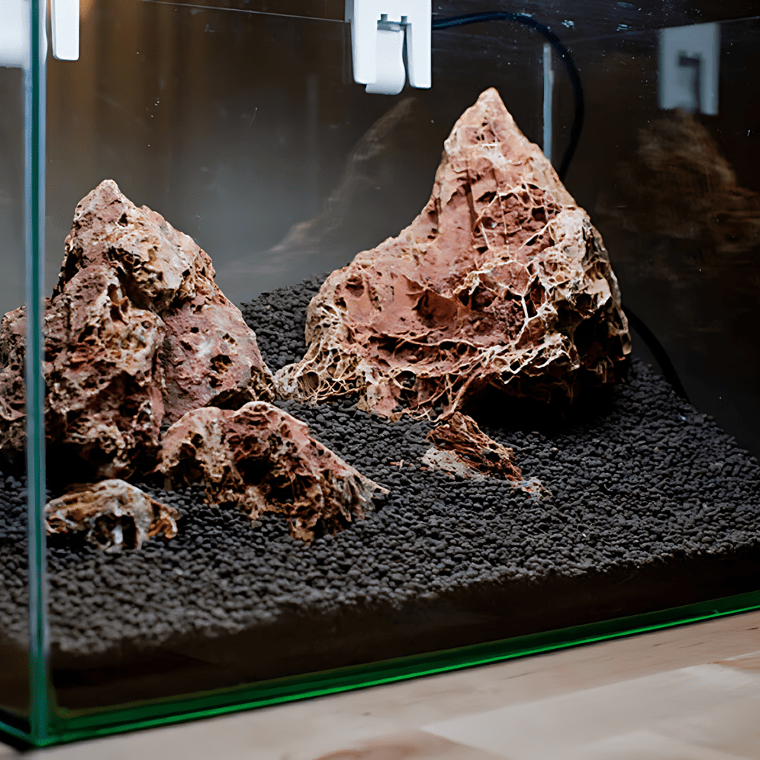 Maple Leaf Rock - The Aquascape Shop