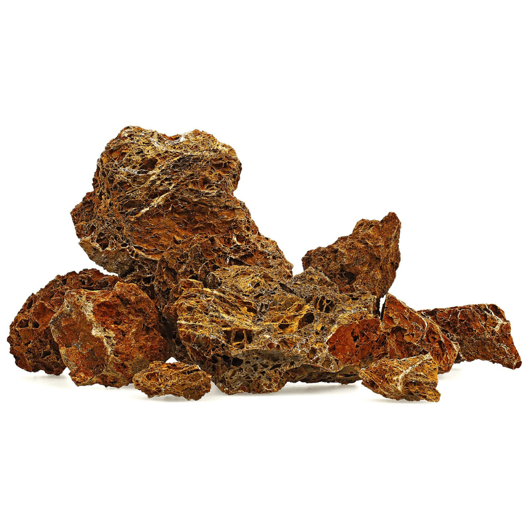 Maple Leaf Rock - The Aquascape Shop