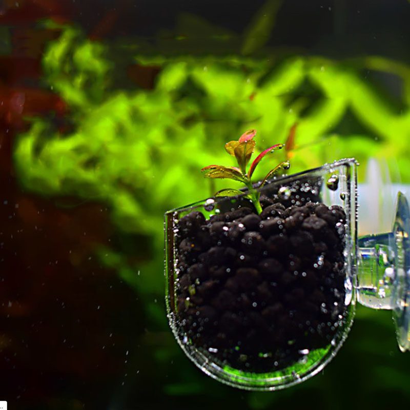 Mini Acrylic Plant Pot - The Aquascape Shop