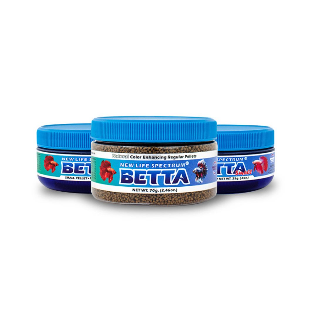 New Life Spectrum Betta - The Aquascape Shop