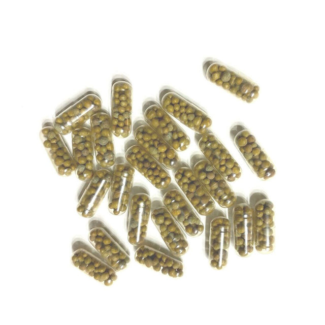 Osmocote Root Fertilizer - The Aquascape Shop