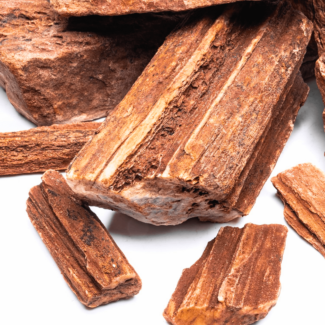 Red Petrified Wood Stone - The Aquascape Shop