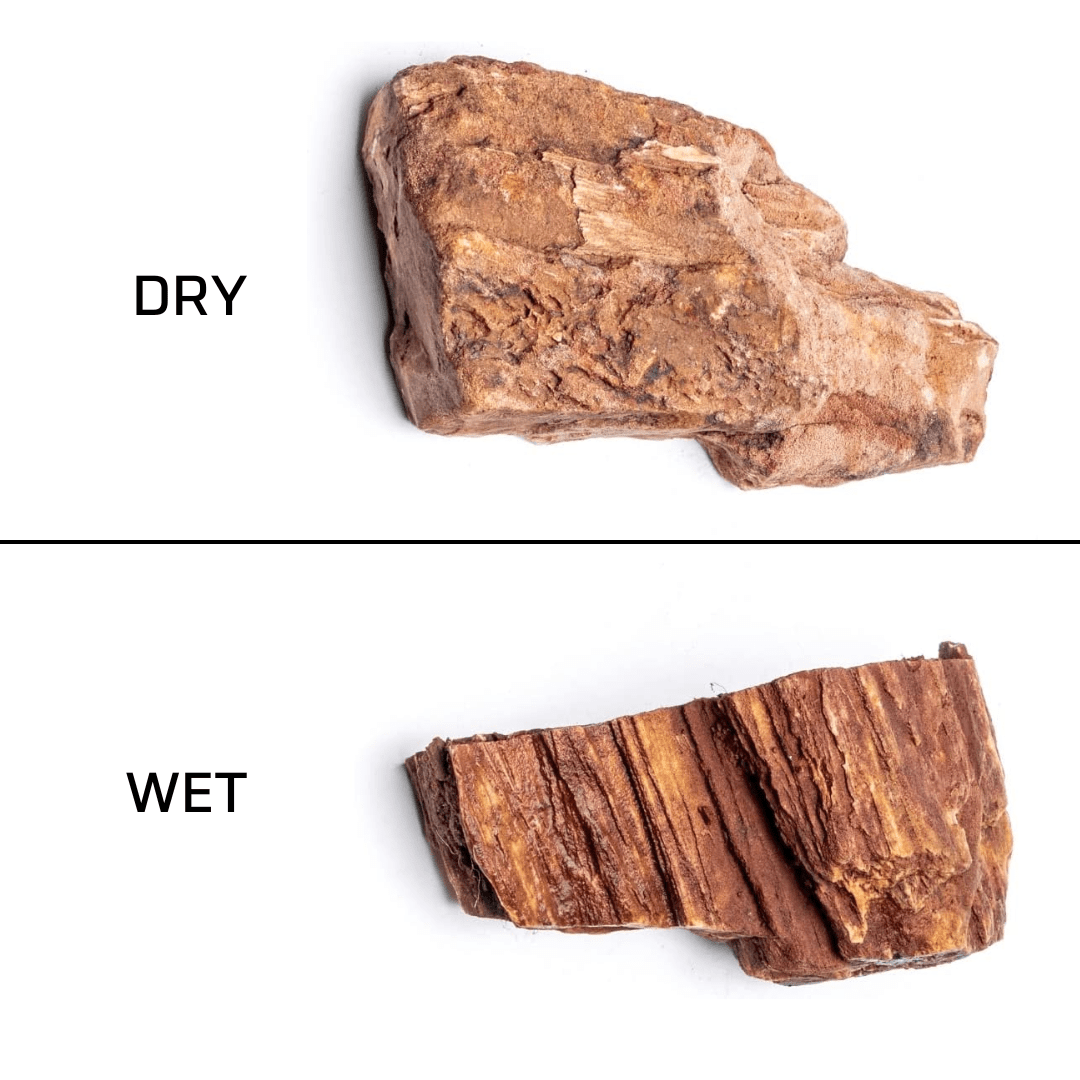 Red Petrified Wood Stone - The Aquascape Shop