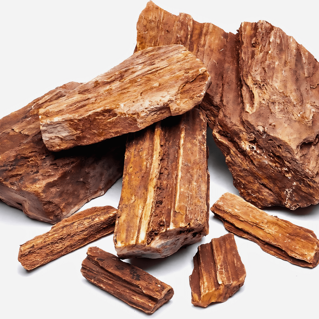 Red Petrified Wood Stone - The Aquascape Shop