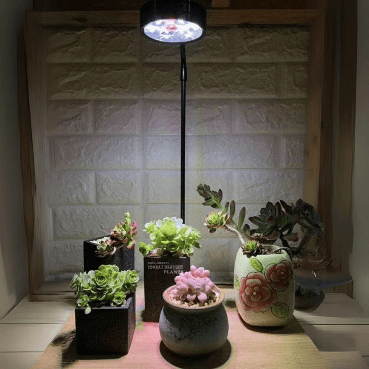 TerraLight LED with Bamboo Board - The Aquascape Shop