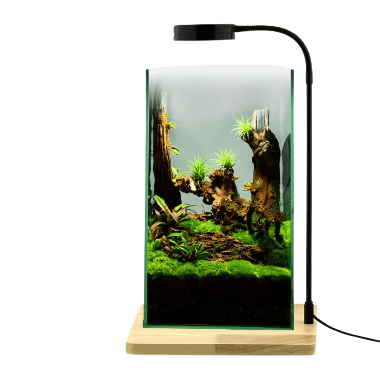 TerraLight LED with Bamboo Board - The Aquascape Shop