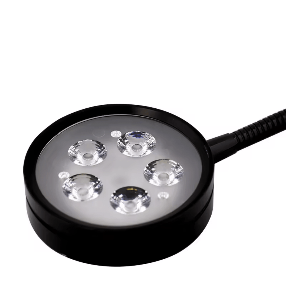 TerraLight LED with Bamboo Board - The Aquascape Shop