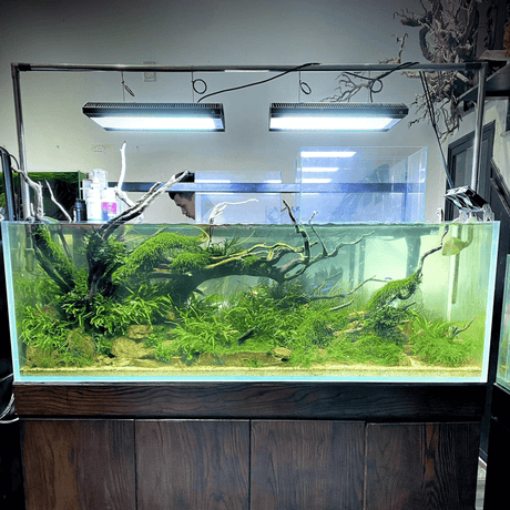 Week Aqua A Series RGB - UV LED - The Aquascape Shop