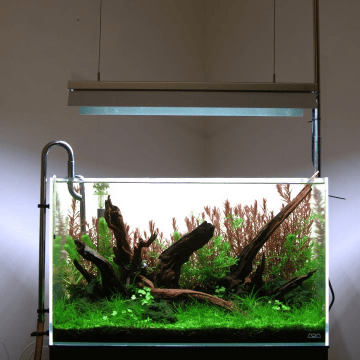 Week Aqua L Series D - PRO RGB - UV LED - The Aquascape Shop