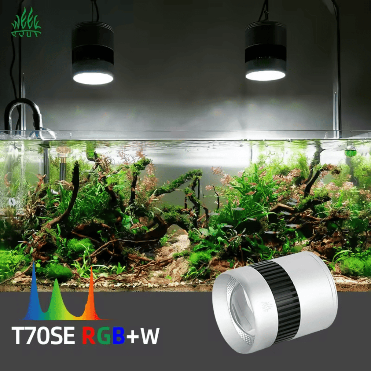 Week Aqua T70SE WRGB - The Aquascape Shop