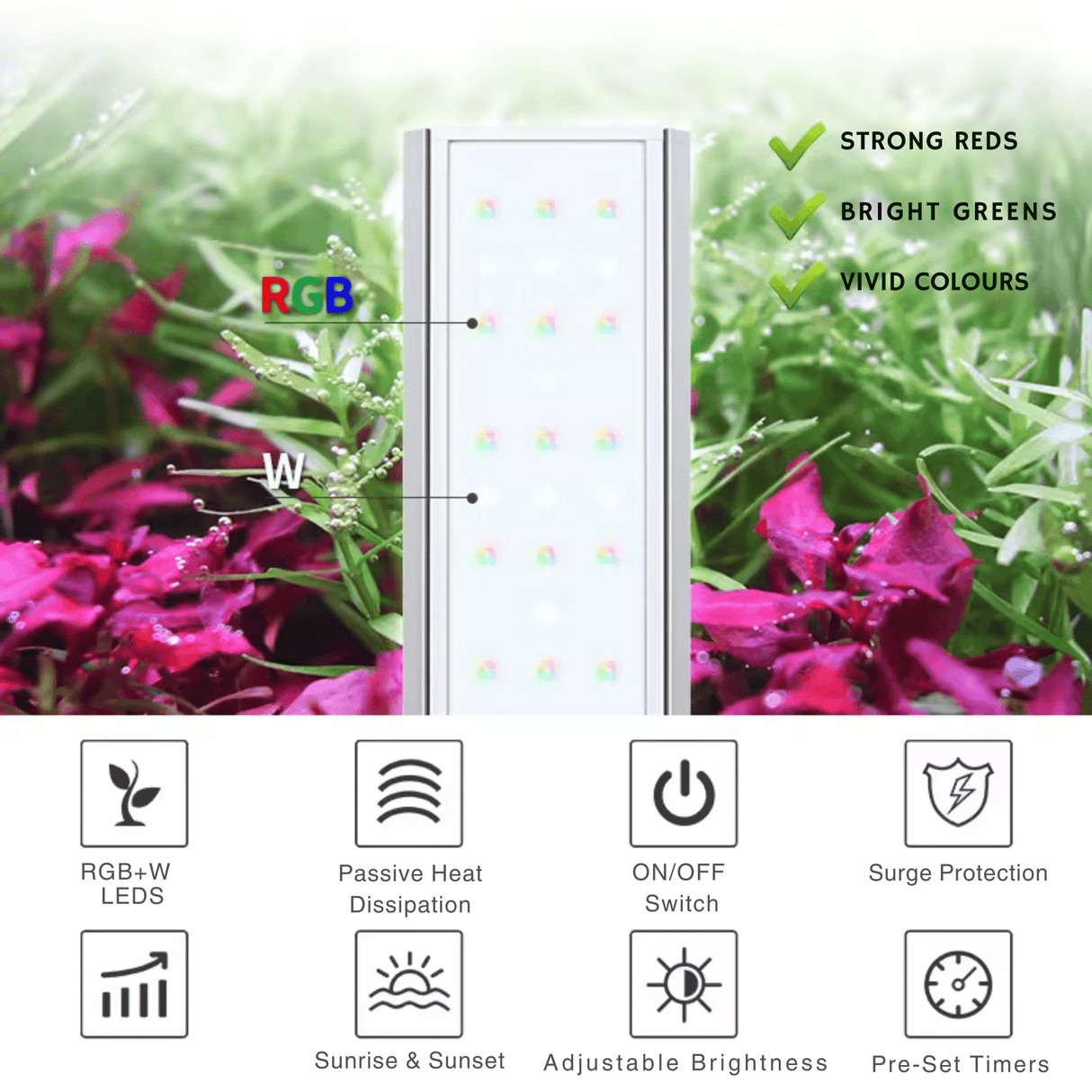 Week Aqua V Series LED - The Aquascape Shop