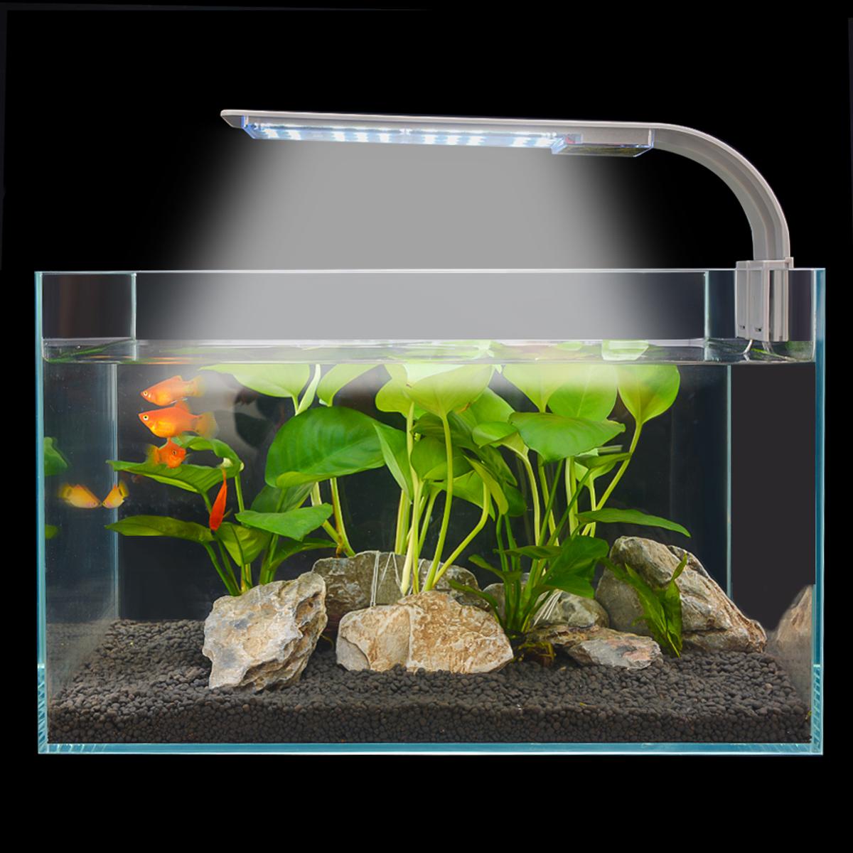 X5 LED Aquarium & Terrarium Lights - The Aquascape Shop