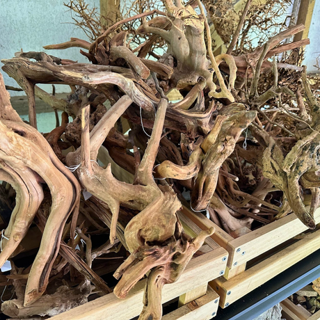 Aquascaping Wood