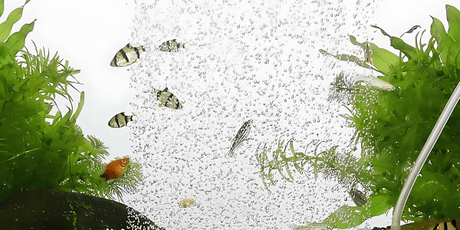 Aeration Equipment - The Aquascape Shop