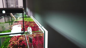 Aquarium Background LED Lights