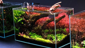 Aquarium LED Lights