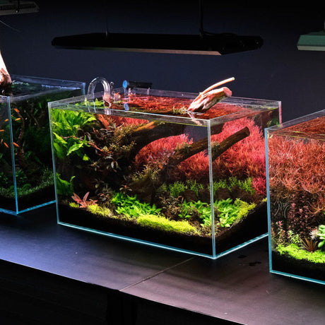 Aquarium LED Lights - The Aquascape Shop