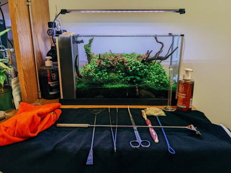 Aquarium Maintenance - The Aquascape Shop