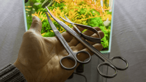 Aquascaping Tools