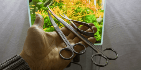 Aquascaping Tools - The Aquascape Shop
