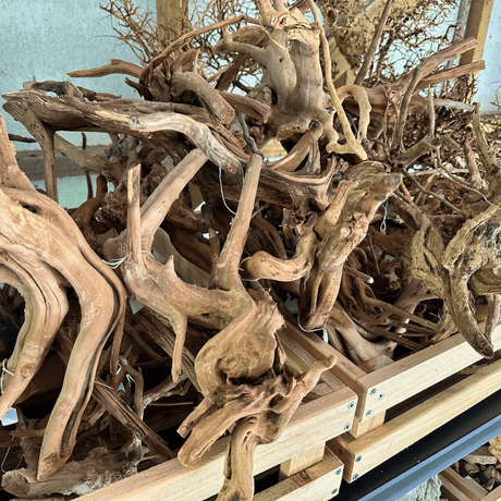 Aquascaping Wood - The Aquascape Shop