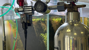 Co2 Cylinders