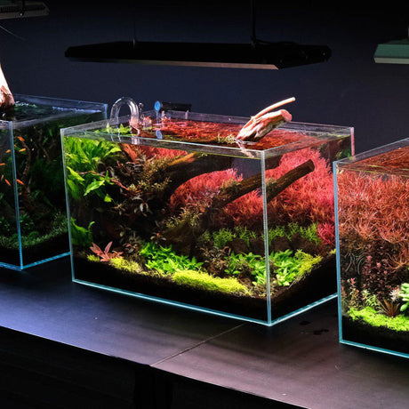 Aquarium LED Lights
