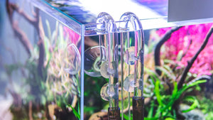 Filter Pipes & Accessories