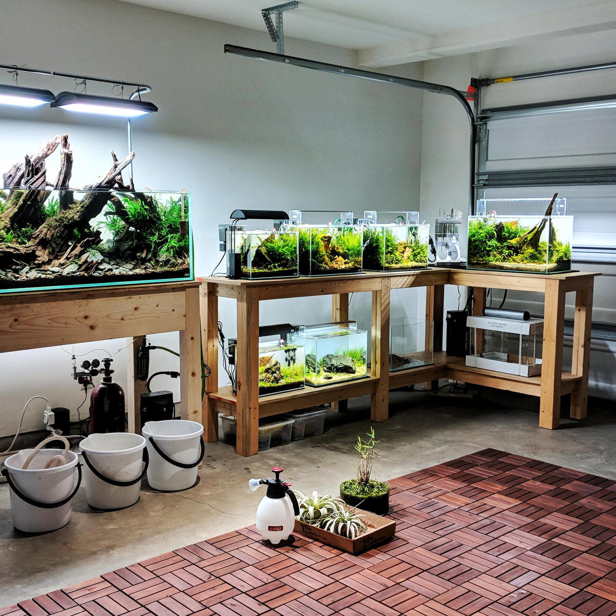 Stunning Eco-Friendly Aquarium Equipment Suppliers image