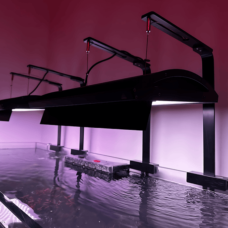 Mounting Fixtures & Accessories - The Aquascape Shop