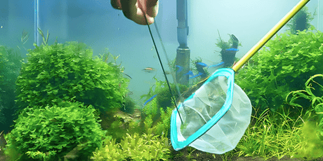 Nets - The Aquascape Shop