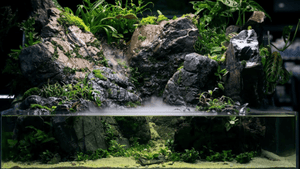 Paludariums