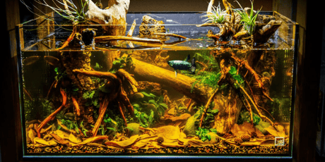 Water Treatments - The Aquascape Shop