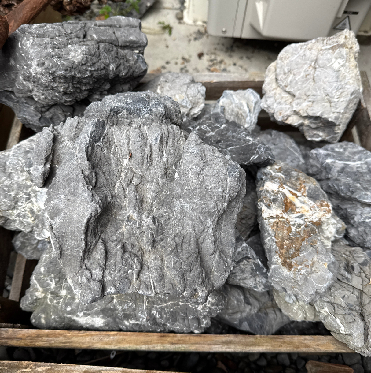 Turtle Vein Stone