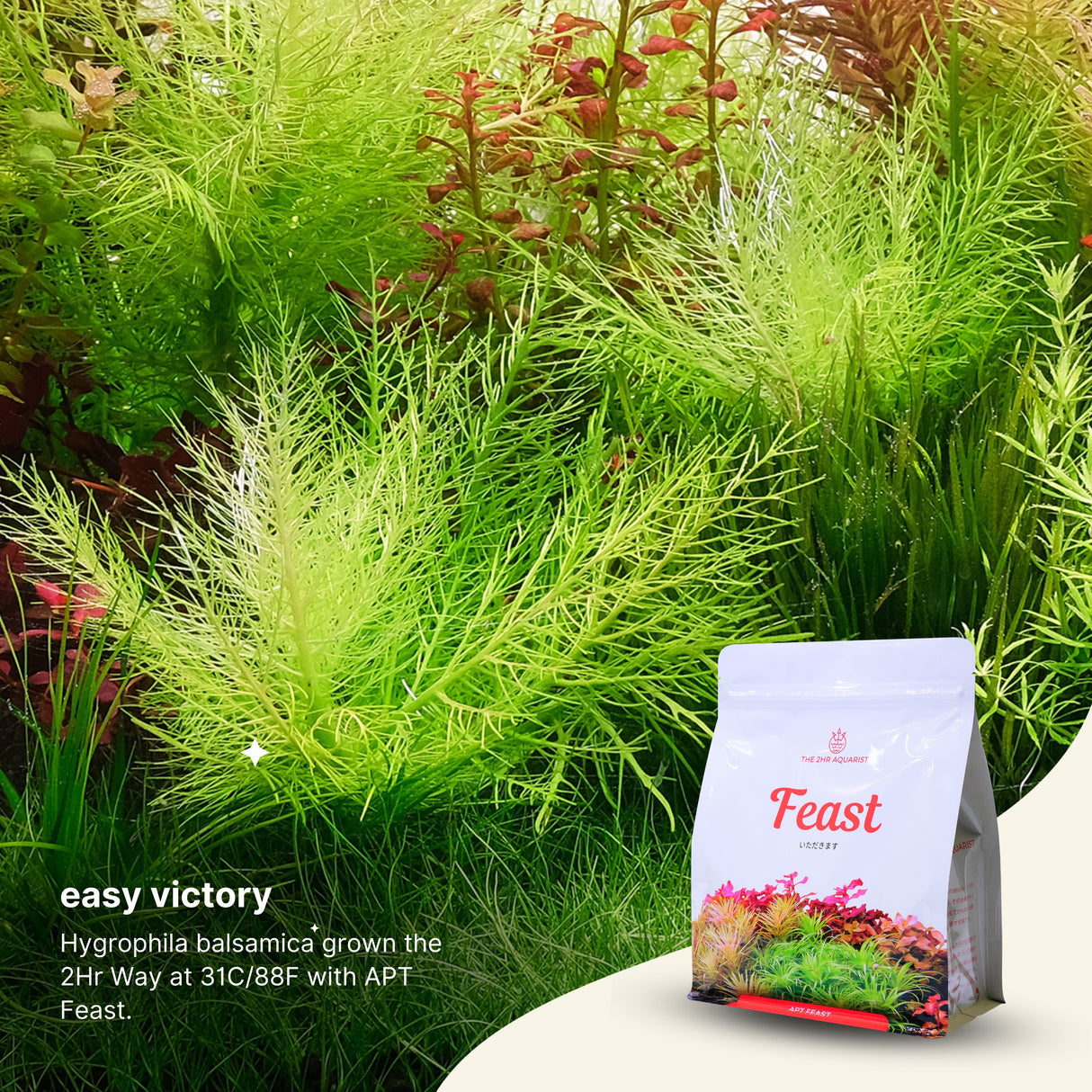 APT Feast Aquasoil