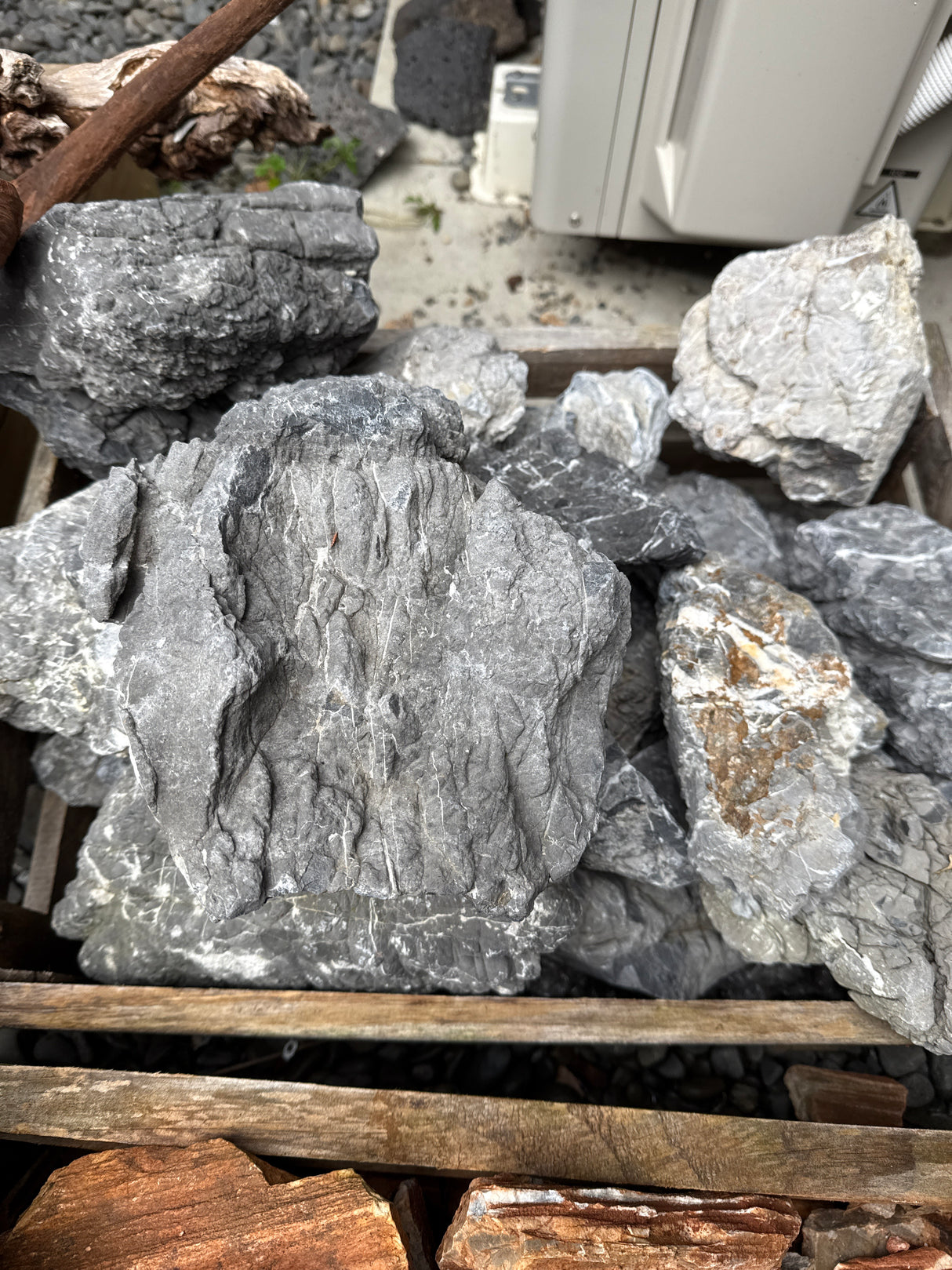 Turtle Vein Stone