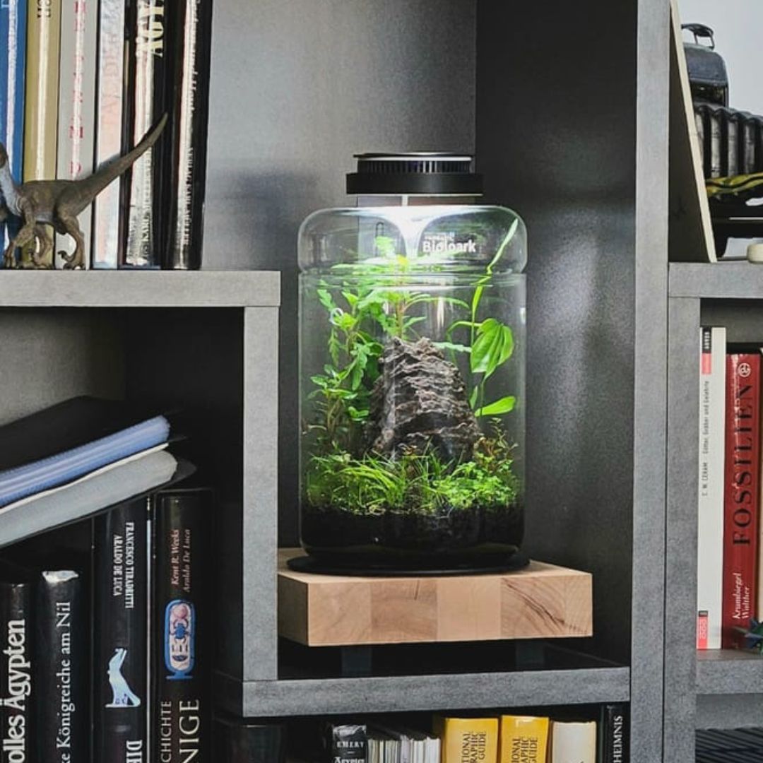 Chihiros Magnetic Light 2