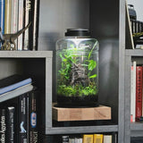 Chihiros Magnetic Light 2