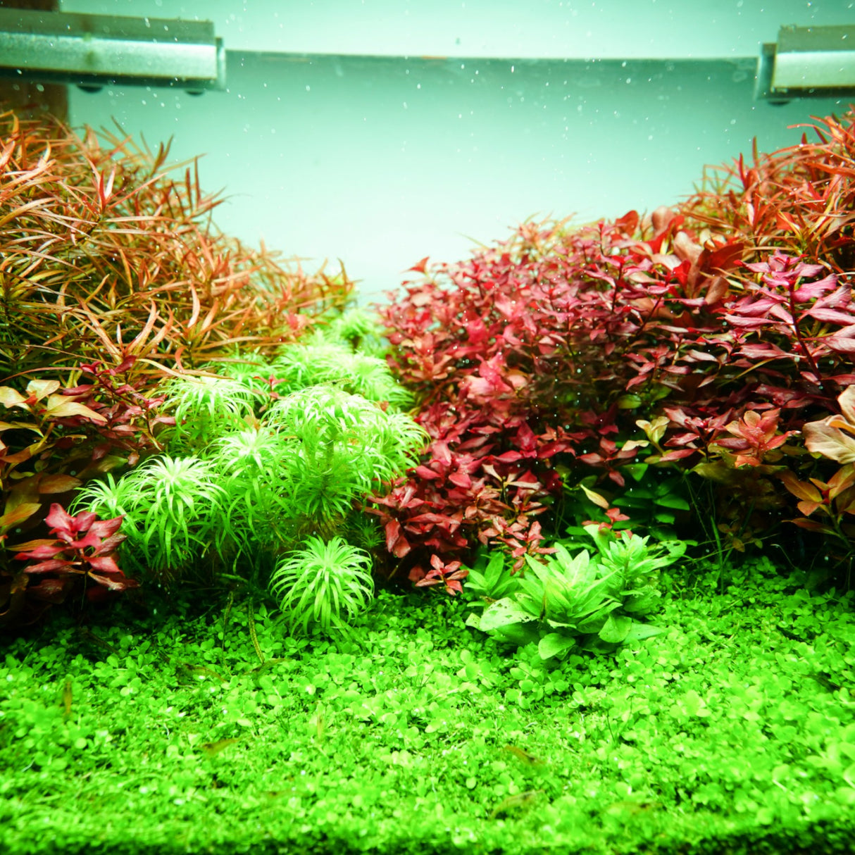 Chihiros RGB VIVID II Mate LED