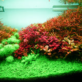 Chihiros RGB VIVID II Mate LED