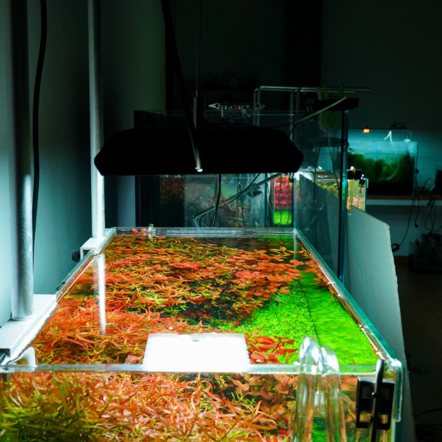 Chihiros VIVID II Mate RGB LED 60-90cm | The Aquascape Shop